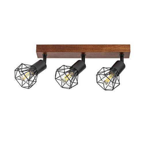 Zeus (3139)
