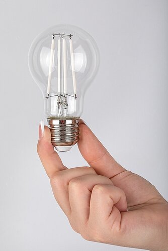 Filament-LED (79191)